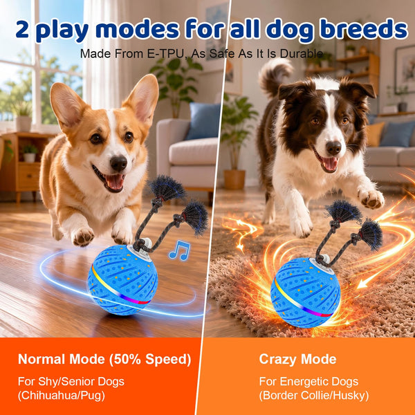 Smart Interactive Dog Ball for Strong Chewers