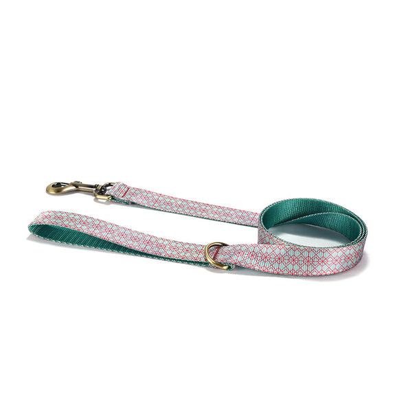 Dog Training Collar and Lead Set
