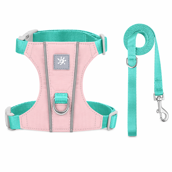 Reflective Cat Harness and Lead