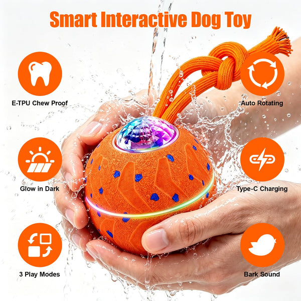 Smart Dog Enrichment Ball