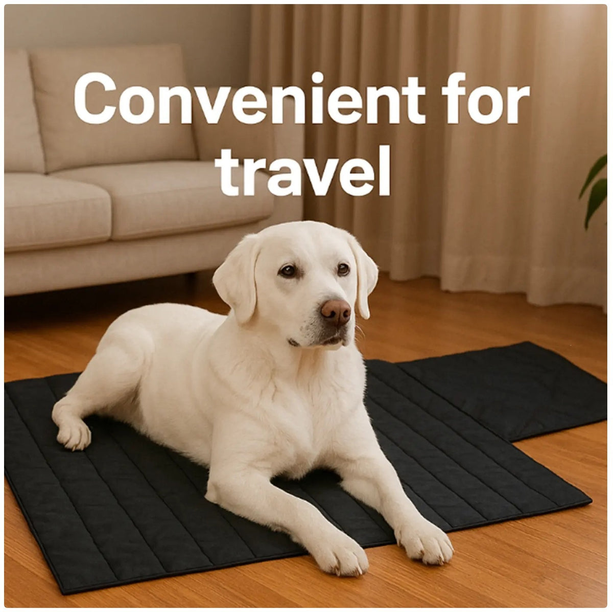 Washable Dog Pee Pad Mat