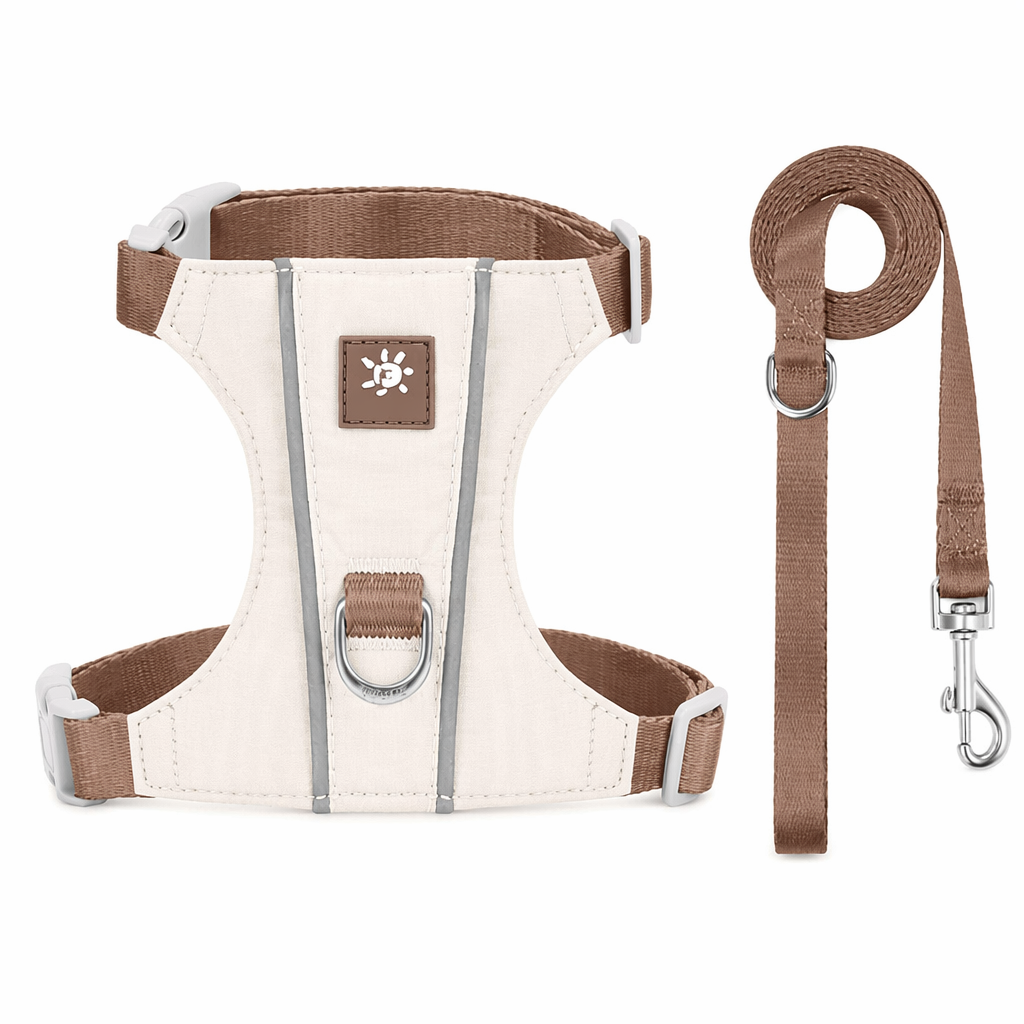 Reflective Cat Harness and Lead