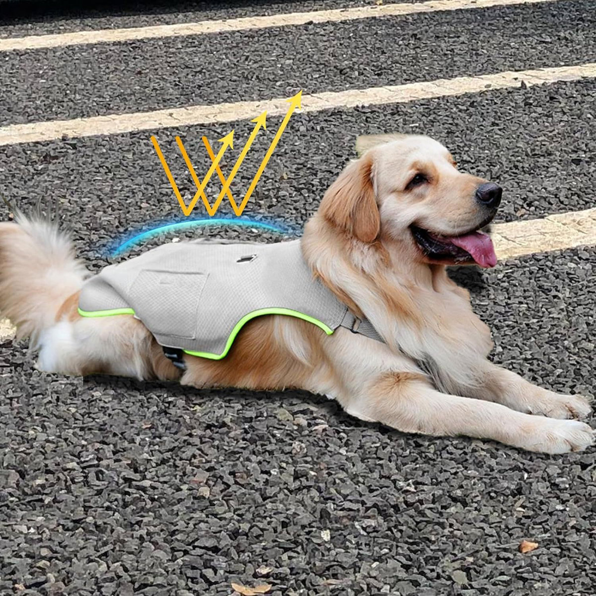 Dog Cooling Vest with Ice Packs