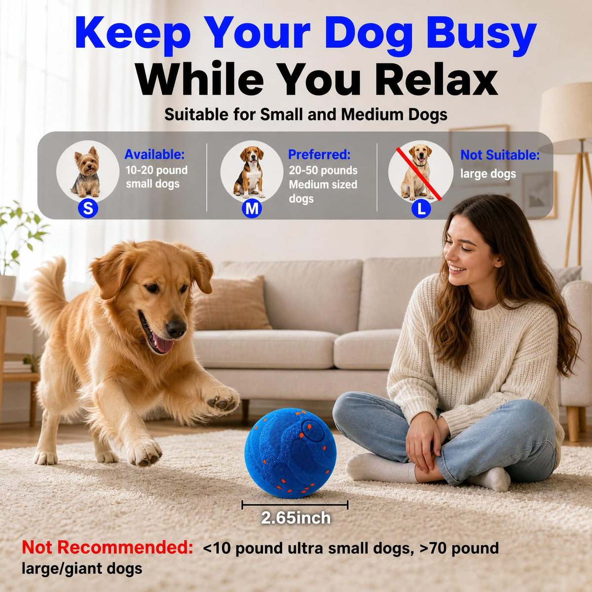 Self-Rolling Interactive Dog Ball