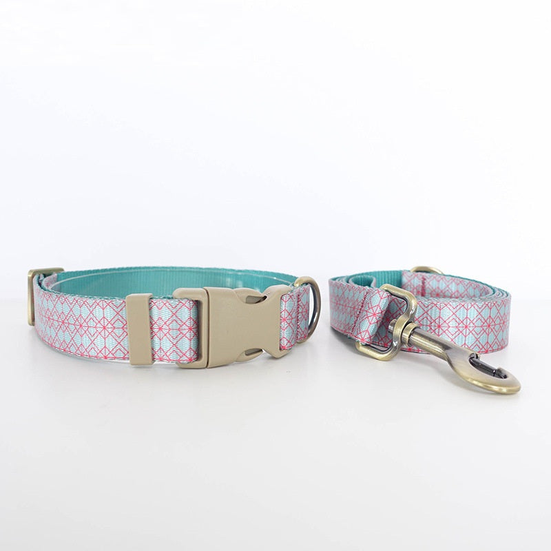 Dog Training Collar and Lead Set