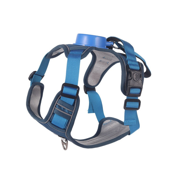 Retractable Leash and Harness Set
