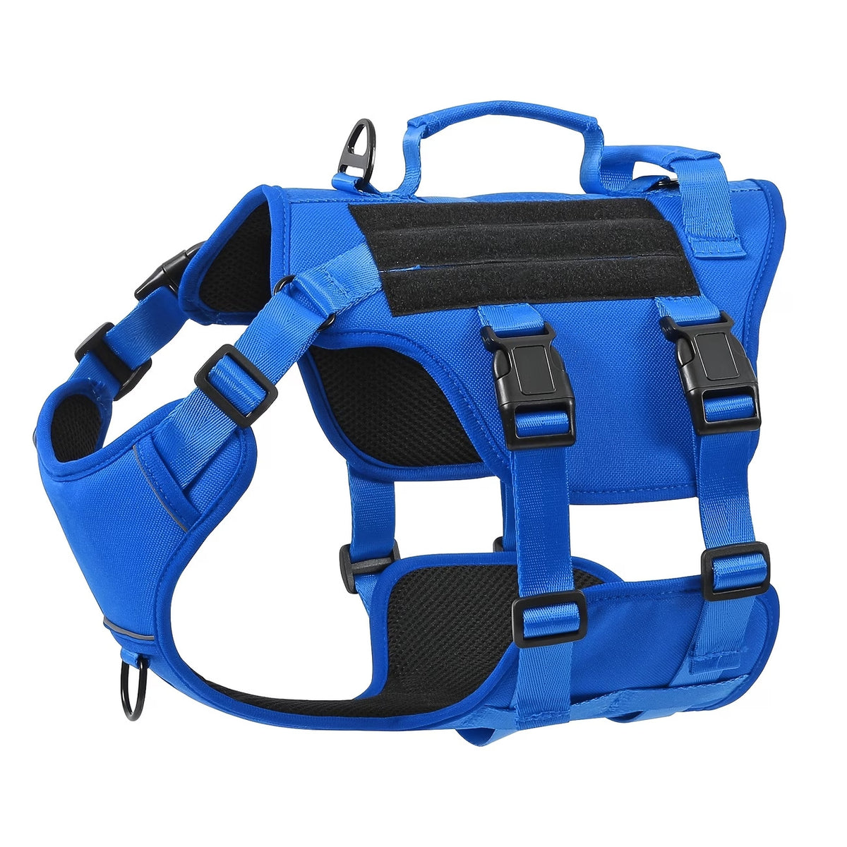 Dog Harness and Lead Set - Blue / S