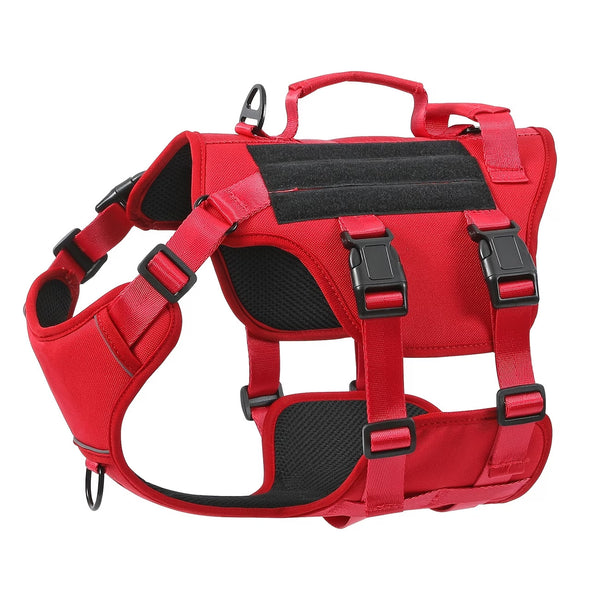 Dog Harness and Lead Set