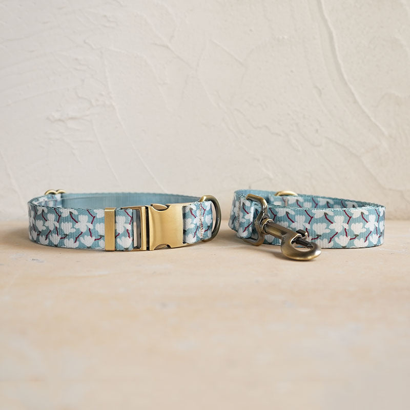 Soft Dog Collar and Lead Set